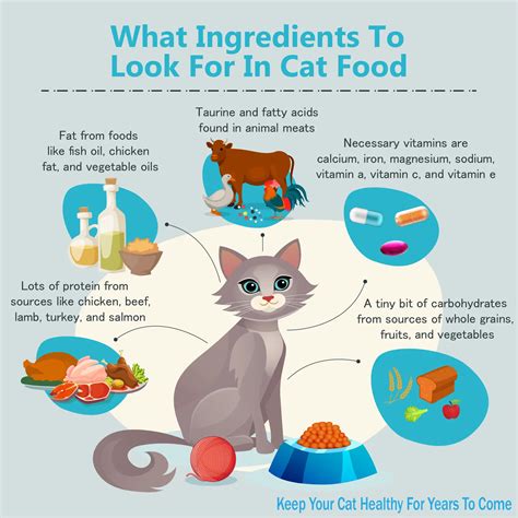 Cat Food Ingredients Infographic1 Animals Time