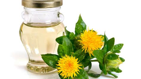 6 Health Benefits Of Safflower Oil