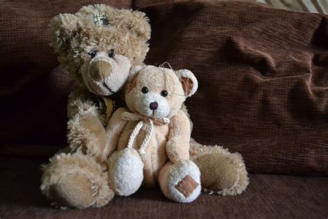 Hd Wallpaper Brown Bear Plush Toy Beside Bear Plush Toy Bears Misiak