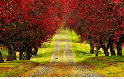 Autumn Wallpapers Quotes Images Hd 2015 2016