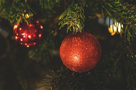 Red Bauble On Christmas Tree · Free Stock Photo