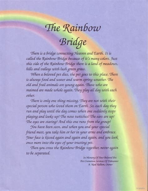 Now At Rainbow Bridge