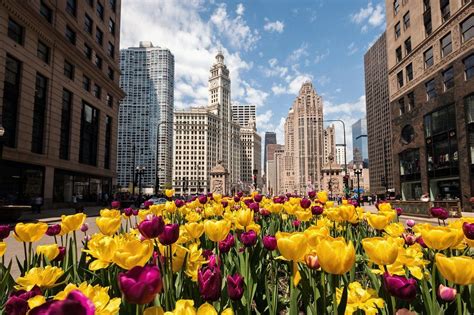 The Magnificent Mile Chicago 2018 All You Need To Know Before You