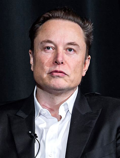 Elon Musk Wikipedia