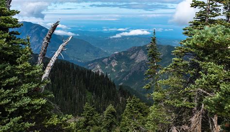 Visitors Guide To Washingtons Olympic National Park