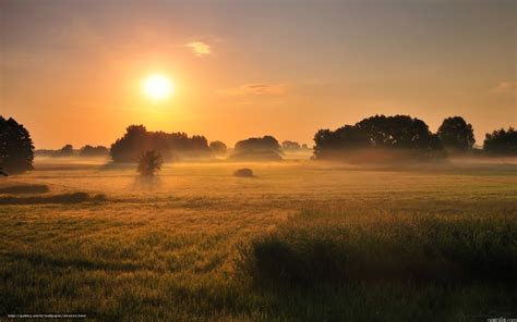 Download Wallpaper Fog Field Landscape Morning Free Desktop