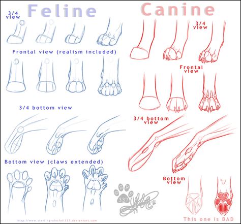 725 x 1102 jpeg 103 кб. cat dog drawing art wolf cats draw feline vs felines ...