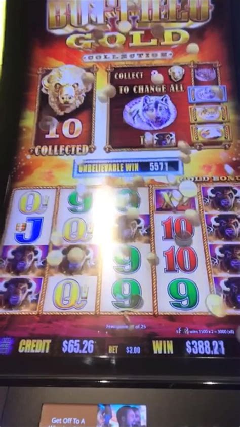 Buffalo Stampede Slot Machine By Aristocrat