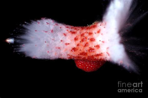 Bullet Hitting A Strawberry Photograph By Ted Kinsman Fine Art America