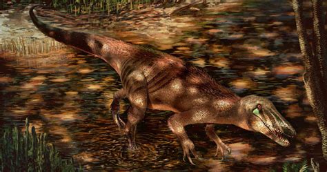Paleontólogos Descubren Nueva Especie De Dinosaurio Que Habitó Hace 85