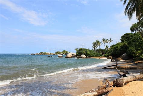 Reˈpuβ̞lika ð̞e koˈlombja, deutsch republik kolumbien; Palme. Tropischer Wald. Tayrona Park. Kolumbien Stockbild ...