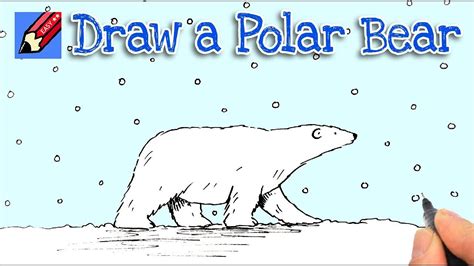 How To Draw A Polar Bear Real Easy Step By Step Youtube