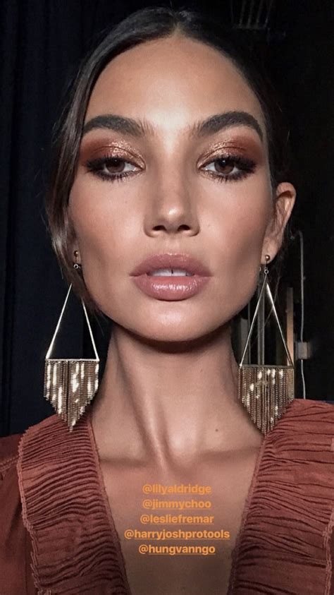 Lily Aldridge By Hung Vanngo Eyemakeuppink Metallic Eyes Makeup