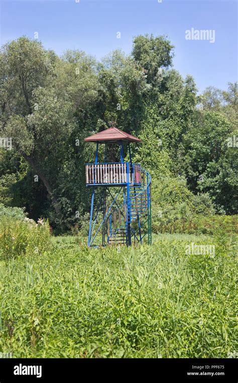 Bird Watching Tower In A Forest Stock Photo Alamy