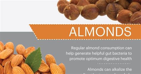 Hazelnuts Benefit The Heart Brain Skin Healthy Brain Dr Axe And