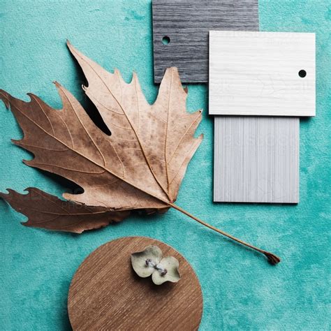 Image Of Autumn Interior Design Theme Flat Lay Square Austockphoto