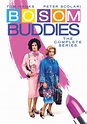 Bosom Buddies: The Complete Series [DVD] - Best Buy