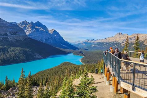 15 Things To Know Before Visiting Peyto Lake Viewpoint
