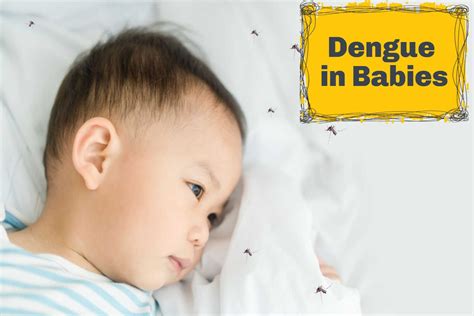 Dengue In Babies Causes Symptoms And Treatment Being The Parent