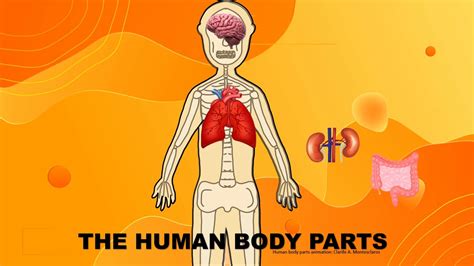 Human Body Parts Animation Using Powerpoint Youtube