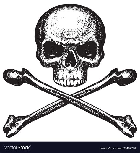 Skull And Crossbones Pirate Symbol Or Danger Sign Vector Image