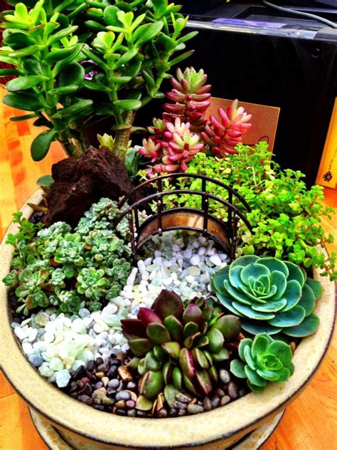 Mini Succulent Garden Ideas