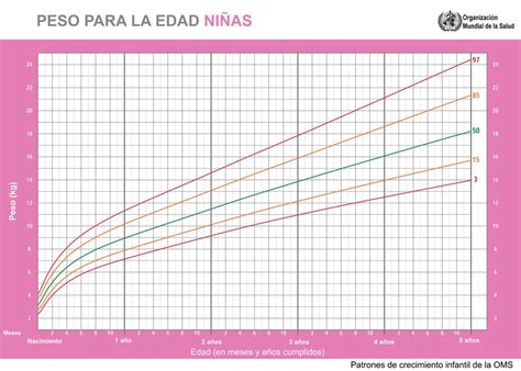 Graficas De Crecimiento Y Percentiles Como Interpretarlos Para Saber Images