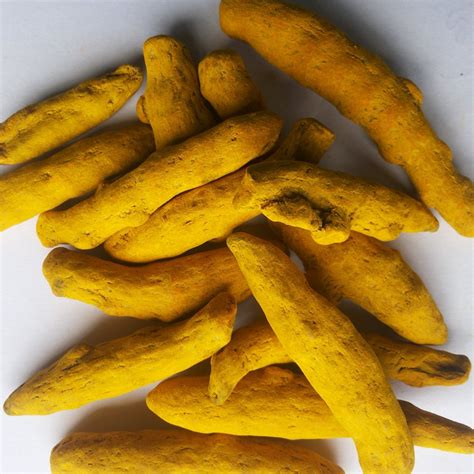 Sangli Turmeric Dried Turmeric Finger Packaging Size 50 Kg At Rs 69