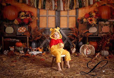 Rts Kate Autumn Harvest Thanksgiving Backdrop For Photography