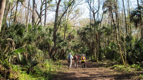 Oak Ridge Tract Suncoast Hike Florida Hikes