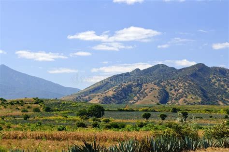 Landscape In Jalisco Mexico Stock Image Image Of Planted Mountains