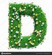 Letter D Of Green Grass And Flowers — Stock Photo © cherezoff #138714368