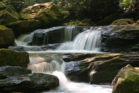 You can check the working days and hours below before going. Photo Gallery | Dillard Georgia