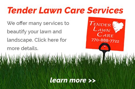 Tender Lawn Care Best In Atlanta Lawn Care Cumming Ga 30041