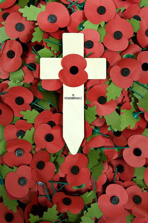 Royal British Legion Poppies Of Rememberance Remembrance Day Poppy