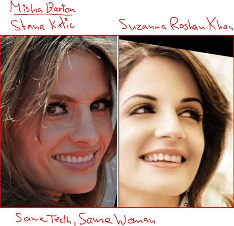 welcome to mossad alf´s funny little blog mischa barton stana katic also plays suzanne