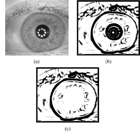 Figure 11 From Iris Segmentation Using Geodesic Active Contours