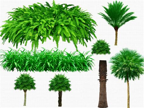Download Free Trees Psd