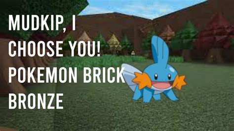 Mudkip I Choose You Pokemon Brick Bronze YouTube