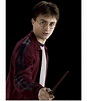 Harry Potter Characters Part 1 Flashcards | Memorang