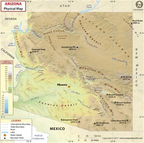 Arizona Physical Wall Map By Maps Of World
