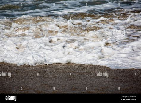 Foamy Waves On The Shore Stock Photo Alamy