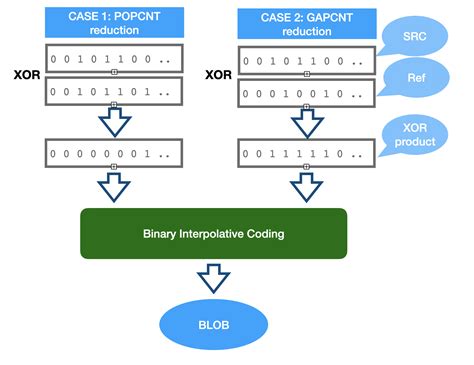 Application Notes On Xor Compression Of Bit Transposed Vectors