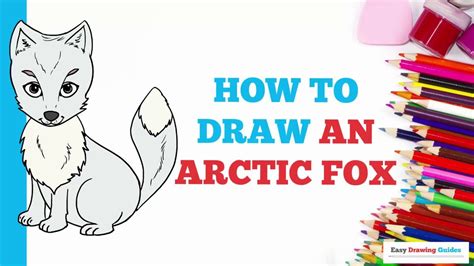 How To Draw A Arctic Fox Realistic Easy Design Talk