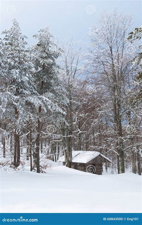 Log Cabin In A Snowy Forest Stock Photo Image Of Covered Resort