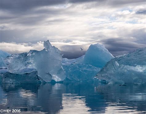 Glacier Lagoon Jokulsarlon All You Need To Know Before You Go