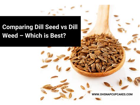 Comparing Dill Seed Vs Dill Weed Which Is Best Oh Snap Cupcakes