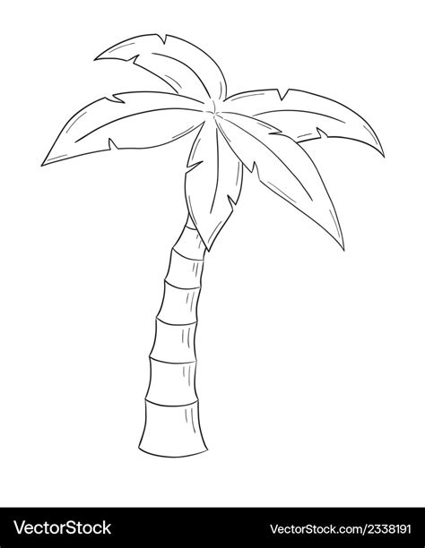 Sketch Palm Tree Royalty Free Vector Image Vectorstock