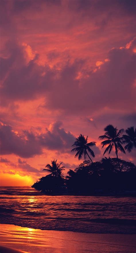 Nature Landscape Water Clouds Trees Beach Sunset