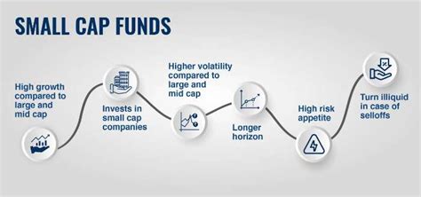 Best Small Cap Mutual Funds 2024